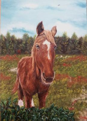 --- - Wassilij Dahmer - Array auf Array - Array - Array --- - Wassilij Dahmer - Array auf Array - Array - Array