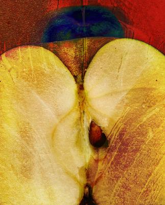 Apfel - Theo Berends - Array auf - Array - Apfel - Theo Berends - Array auf - Array -