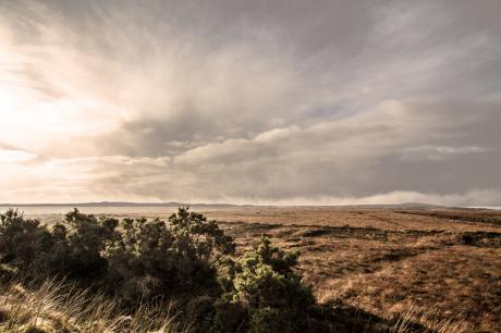 Weitsicht - Farbschatten Fotografie - auf - Array - Weitsicht - Farbschatten Fotografie - auf - Array -