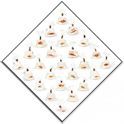portraits of goldfishbags 44001r - peter janssen -  auf  - Array - 
