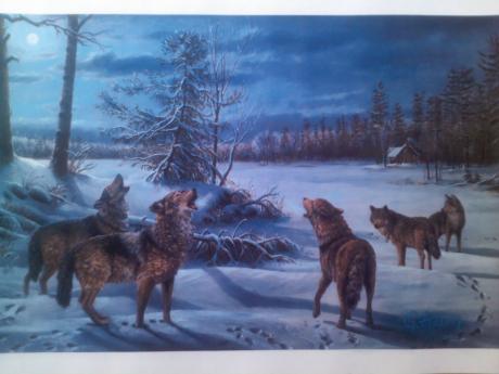 Wölfe - Admir Gabela - Array auf - - Wölfe - Admir Gabela - Array auf - -