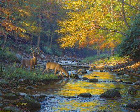 Herbst - Admir Gabela - Array auf - - Herbst - Admir Gabela - Array auf - -