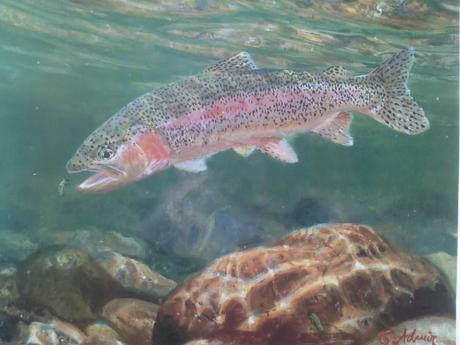 Fisch im Wasser - Admir Gabela - Array auf - - Fisch im Wasser - Admir Gabela - Array auf - -