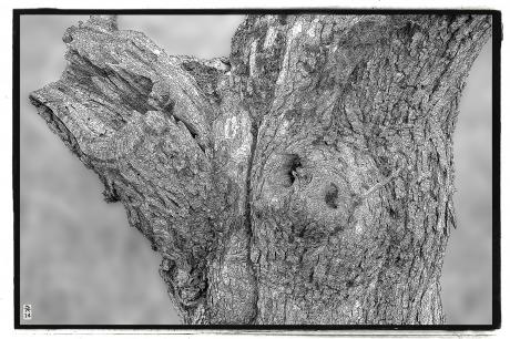 Neues Kunstwerk - Christian Knobeloch - Array auf - - Neues Kunstwerk - Christian Knobeloch - Array auf - -