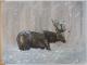 Hirsch im Winter - Desiree Bernhard - auf - Wildtiere-Landschaft-Sonstiges-Winter-Regen - Hirsch im Winter - Desiree Bernhard - auf - Wildtiere-Landschaft-Sonstiges-Winter-Regen -