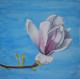 Magnolia 2 - Kristina Thome - Aquarell auf Papier - Blumen - Gegenständlich Magnolia 2 - Kristina Thome - Aquarell auf Papier - Blumen - Gegenständlich