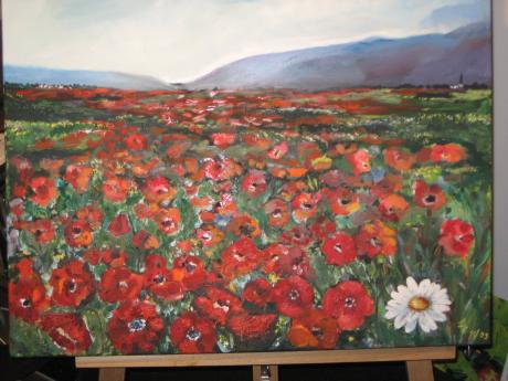 verirrte Margerite auf Mohnwiese - Elvira Schnell - Array auf Array - Array - Array verirrte Margerite auf Mohnwiese - Elvira Schnell - Array auf Array - Array - Array