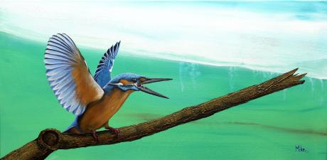 Eisvogel - mike . mairhofer - Array auf Array - Array - Eisvogel - mike . mairhofer - Array auf Array - Array -