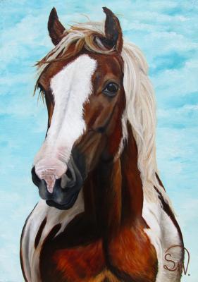 Pferdeportrait Capuccino - Simone Wilhelms - Array auf Array - Array - Pferdeportrait Capuccino - Simone Wilhelms - Array auf Array - Array -