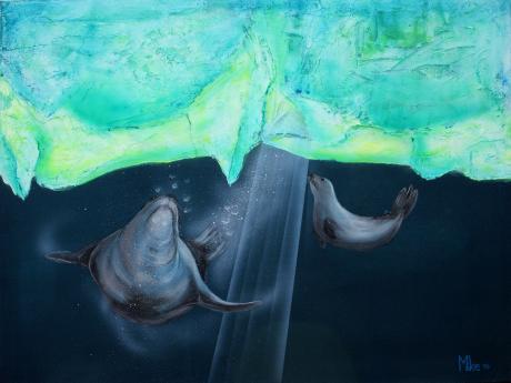 Seehund - mike . mairhofer - Array auf Array - - Seehund - mike . mairhofer - Array auf Array - -