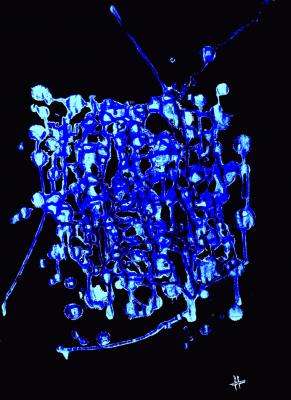 4 Farben Blau - Olek Anantonov - Array auf - Array - 4 Farben Blau - Olek Anantonov - Array auf - Array -