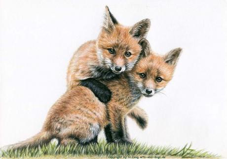 Fuchskinder - Nicole Zeug - Array auf - Array - Array Fuchskinder - Nicole Zeug - Array auf - Array - Array