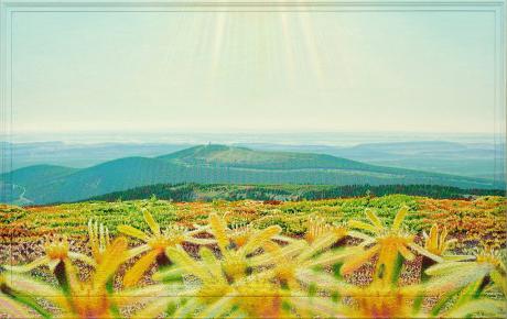 Frühsommerheidenweite--- - Fred Hahn - Array auf Array - Array - Array Frühsommerheidenweite--- - Fred Hahn - Array auf Array - Array - Array