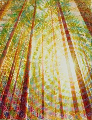 Strahlender Sonnenaufgang - Fred Hahn - Array auf Array - Array - Array Strahlender Sonnenaufgang - Fred Hahn - Array auf Array - Array - Array