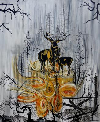 Sturm Lothar im Schwarzwald - Andrea Späthe - Array auf Array - Array - Array Sturm Lothar im Schwarzwald - Andrea Späthe - Array auf Array - Array - Array