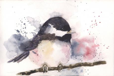 Kohlmeise - Karin Liste - Array auf - Array - Kohlmeise - Karin Liste - Array auf - Array -