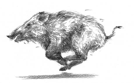 In wilder Hatz - Ulf-Peter (UP) Schwarz - Array auf - Array - In wilder Hatz - Ulf-Peter (UP) Schwarz - Array auf - Array -