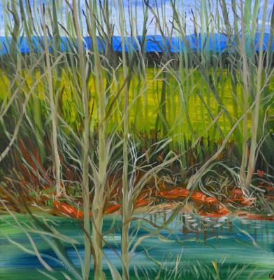 Nidda Auen 1 - wolfgang mayer - Array auf - Array - Nidda Auen 1 - wolfgang mayer - Array auf - Array -