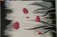 Mohnblumen - Amelia-Nicoleta Nicolaescu-Mutu - Acryl auf - Mohn - Mohnblumen - Amelia-Nicoleta Nicolaescu-Mutu - Acryl auf - Mohn -