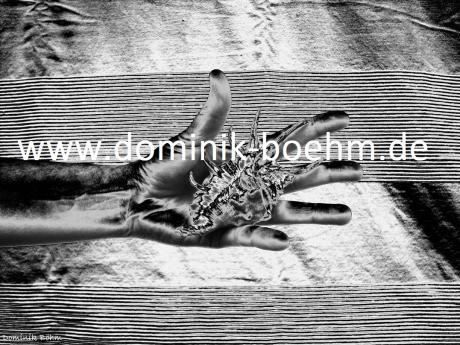 Alles was man braucht? - B - Dominik Böhm - auf - Array - Alles was man braucht? - B - Dominik Böhm - auf - Array -