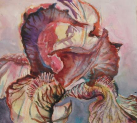 Schwertlilie - Agnes Csilla Magyar - Array auf Array - Array - Array Schwertlilie - Agnes Csilla Magyar - Array auf Array - Array - Array