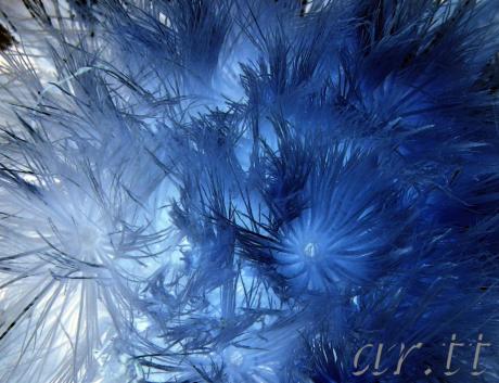 Blue Sea - Arno Schmitt - auf - Array - Blue Sea - Arno Schmitt - auf - Array -