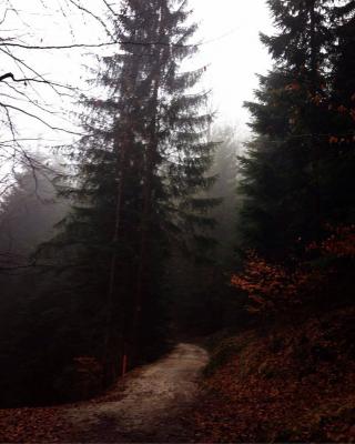 Der Weg - L.M. G. - auf - Array - Der Weg - L.M. G. - auf - Array -