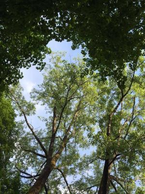 Liebliche Natur - L.M. G. - auf - Array - Liebliche Natur - L.M. G. - auf - Array -