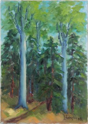 Sommerlicher Eibenwald Tiengen - Josef Heinzler - Thomas Knab - Array auf Array - Array - Array Sommerlicher Eibenwald Tiengen - Josef Heinzler - Thomas Knab - Array auf Array - Array - Array