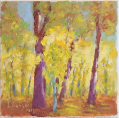 Sonnengelber Sommerwald - Josef Heinzler - Thomas Knab - Array auf Array - Array - Array Sonnengelber Sommerwald - Josef Heinzler - Thomas Knab - Array auf Array - Array - Array