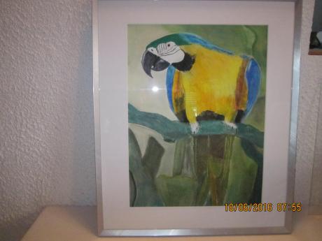 Paradiesvogel - Annette Schonlau - Array auf Array - - Paradiesvogel - Annette Schonlau - Array auf Array - -