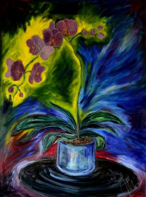 orchidee - Marie Dolezalova - auf - - orchidee - Marie Dolezalova - auf - -