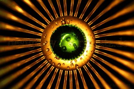 Kollision 2016--- - Henry Matz - auf - Array - Kollision 2016--- - Henry Matz - auf - Array -