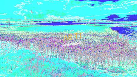 Rrrraps - Arno Schmitt - Array auf - Array - Rrrraps - Arno Schmitt - Array auf - Array -