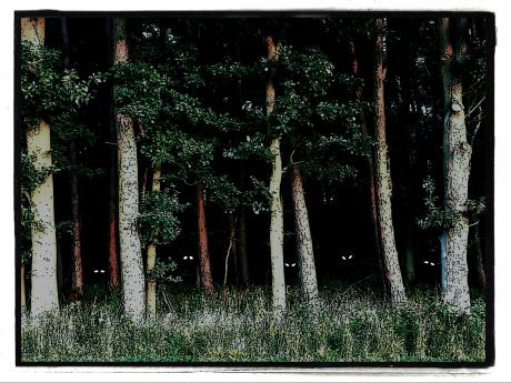 Keine Angst - Christian Knobeloch - Array auf - Array - Keine Angst - Christian Knobeloch - Array auf - Array -