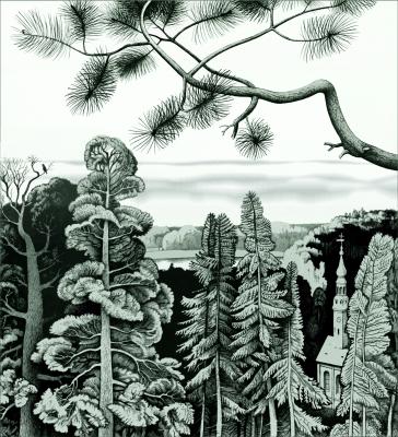 Kiefernzweige - Konstantin Avdeev - Array auf - Array - Kiefernzweige - Konstantin Avdeev - Array auf - Array -