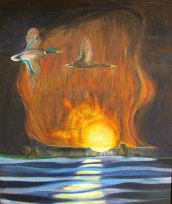 ducks - dirk provoost - Array auf Array - Array - ducks - dirk provoost - Array auf Array - Array -