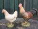 Hühner - Anna Kirsche - Ton-Keramik auf - Vögel - Hühner - Anna Kirsche - Ton-Keramik auf - Vögel -