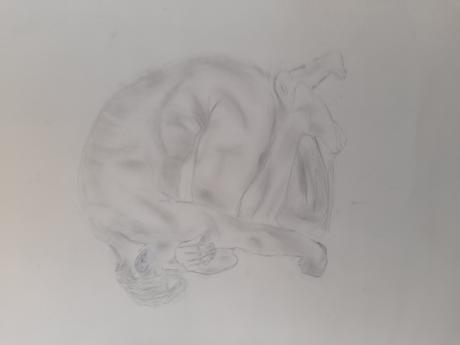 ---m - Sandra Schmit - Array auf Array - Array - ---m - Sandra Schmit - Array auf Array - Array -