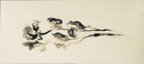 14 Rose - Kathrin Posegga - Array auf - Array - 14 Rose - Kathrin Posegga - Array auf - Array -